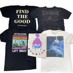 T Shirt Lot of 5 Mens Large Zoo York + Mix Brands Surf Skate Y2K Grapic Academia