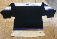 Fort Worth Brahmas Dangle Hockey Jersey Men’s Size Large Stitched