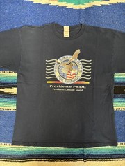 Vintage USPS Providence P&DC Shirt Mens XL Blue Postal Eagle Flag Gildan 2003
