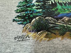 Vintage 1990s San Juan Islands Washington State Bald Eagle Nature T-Shirt, L NEW