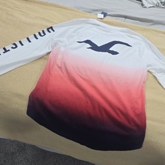 Hollister California Men’s M Long Sleeve Crew Neck Graphic Logo T-Shirt White