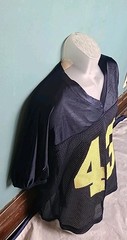 Vintage 90’s Y2K Alleson Athletic Mesh #43 Football Jersey Men’s Size Large/XL