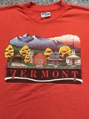 Vintage 80’s Vermont Hanes Tee Shirt Men’s Large Fifty Fifty 1989 Single Stitch