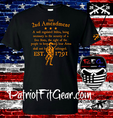 t shirt,The Second Amendment,A Well Regulated Militia,Molon Labe,2A,Guns Rights