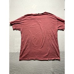 American Eagle The Doors Band Tee Pink Graphic T-Shirt XS