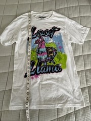 Fortnite Loot Llama Epic Games White Short Sleeve T Shirt Xtra Small