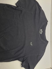 Hollister Mens Size M T-Shirts Must Have Collection Cotton Lot Bundle of 3 Logo
