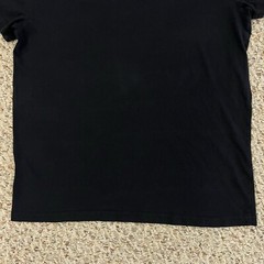 Hollister Tshirt Mens Must Have Collection Short Sleeve Shirt