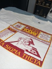 Vintage Fruit On The Loom 80’s DELTA SIGMA THETA T SHIRT Made In USA