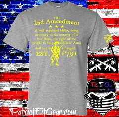 t shirt,The Second Amendment,A Well Regulated Militia,Molon Labe,2A,Guns Rights