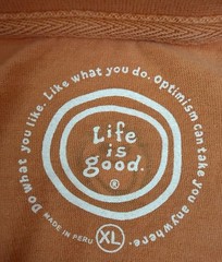 Life Is Good Shirt Mens XL Orange Short Sleeve T-shirt Mountain Climbing Hiking