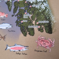 Southeast Alaska Shirt Mens XL Tan Graphic Map Fish Cities Bald Eagle Tee Cotton
