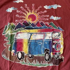 The Mountain Grateful Dead Bus Shirt, Brand New Different Colors, Men’s Sizes