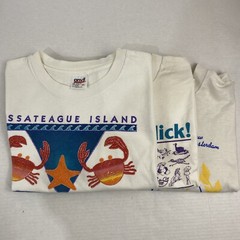 Wholesale Lot of 30 Vintage Short Sleeve Tee Shirts (Sizes In Description)