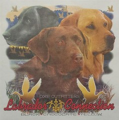 DIXIE OUTFITTERS LABRADOR CONNECTION BLACK LAB DUCK SHIRT #6477 FRONT PRINT ONLY
