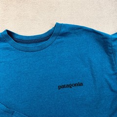 Patagonia Responsibili T Shirt Mens Small Blue Straight Hem Regular Fit Crewneck