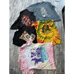Bulk Lot 25 Graphic Band Tees Nirvana Led Zeppelin Rolling Stones Rap Rock