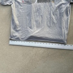 grey cropped annapolis maryland graphic tee Ships same day/next unisex graphic
