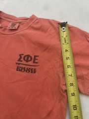 Comfort Colors Men’s T Shirt Sprig Rush Sigma Phi Epsilon 2022 Size M