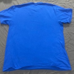 Delta Pro Weight Erie Lake Vibes Graphic T-Shirt Blue Large Retro Sunset Tee