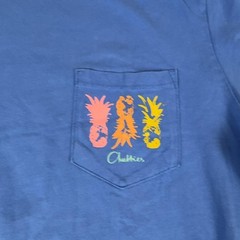 Chubbies Shirt Mens Medium Blue Pineapple Pocket Graphic Tee Tagless Cotton