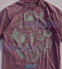 Sea Shells Ocean Life Nautical Beach Coastal Comfort Tee
