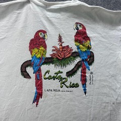 VTG Costa Rica Shirt Mens L White Graphic Tee Embroidered Map Logo Lightweight