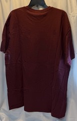 Harry Potter Gryffindor Quidditch T-Shirt Mens Size XXL, 2XL Burgundy Hogwarts