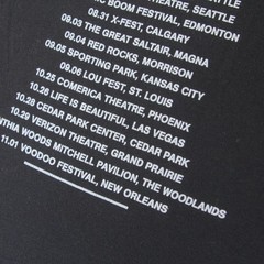 Arctic Monkeys T Shirt L VTG 2014 AM Album Tour Concert Merch DO I WANNA KNOW