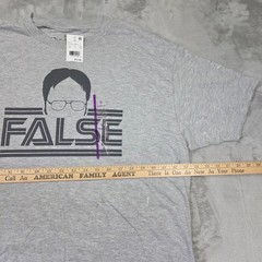 The Office Dwight Schrute False Graphic T-Shirt Mens XL Gray Ripple Junction NWT