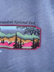 90s Vintage Shenandoah National Park Mountain Blue Nature Shirt Tee 1990s VTG M