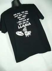 I Only Love my Bed and My Llama T-Shirt Shirt Size L Black Large USA Seller