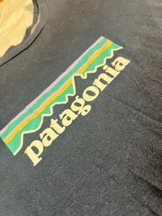 Patagonia Women’s Responsibili-Tee Graphic Organic Cotton T-Shirt, Navy Size M