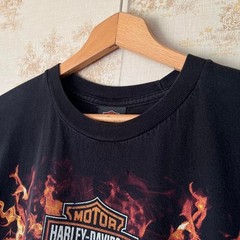 Y2K Harley-Davidson Flaming Wolf Tee | Joplin Missouri | Size L