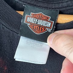 Y2K Harley-Davidson Flaming Wolf Tee | Joplin Missouri | Size L