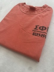 Comfort Colors Men’s T Shirt Sprig Rush Sigma Phi Epsilon 2022 Size M