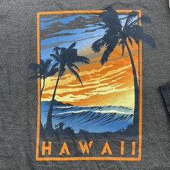 T Shirt Lot of 6 Men Large Graphic Skate Surf Outdoor Streetwear Gorpcore Hawaii
