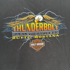 Vintage Y2K Harley Davidson Flame Sleeve Pocket T Shirt Sz XL Montana Lightning