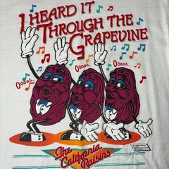 Vintage 1987 California Raisins T-Shirt Size M