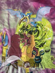 Rick And Morty Adult Swim Ripple Junction￼2019 T-shirt Size Large Tee Tie Dye