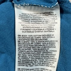 The North Face Men’s L Teal Blue Bear Mountain Graphic T-Shirt Yosemite Cotton
