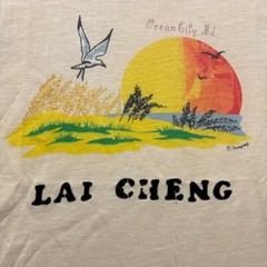 Vintage 70s Ocean City Maryland Summer Beach T Shirt M Cream Water Print Graphic