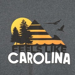 Gildan Ultra Cotton Parmalee Feels Like Carolina Tee Unisex Adult Size Large