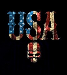 USA Skull Biker T-Shirt Distressed Gothic Patriotic Gildan 2021 Tee Size Small