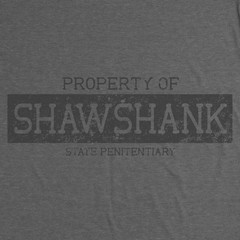 The Shawshank Redemption Penitentiary Prison Andy Dufresne 90s Movie Tee T Shirt