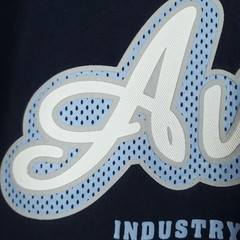 Avirex Shirt Mens XL Blue Colorblock Industry Standard Logo Graphic Tee Y2K