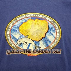 Kauai Hawaii The Garden Isle Graphic Tee Dolphin Tropical Blue 2X Shirt