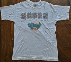 Vintage 90s Jesus Lily of the Valley Shirt L Fruit of the Loom Living Epistles