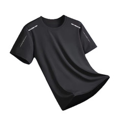 Men’s Ice Silk T-Shirt Summer Quick Dry Thin Sportswear Shirt For Gym Fitness