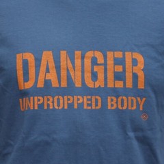 Warbird Print Danger Unpropped Body Blue Exclusive Printed T-Shirt Aviation